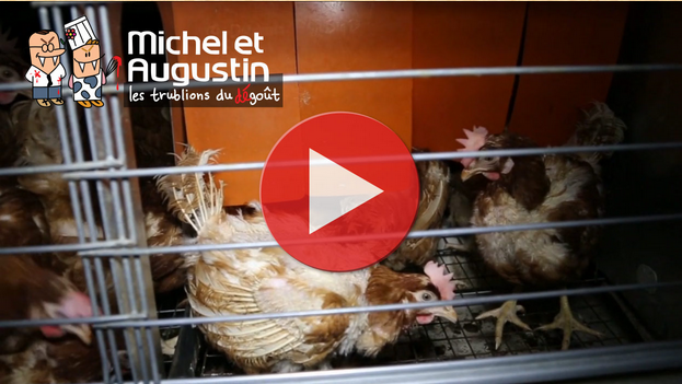 Scandale poules Michel & Augustin - La Poste 